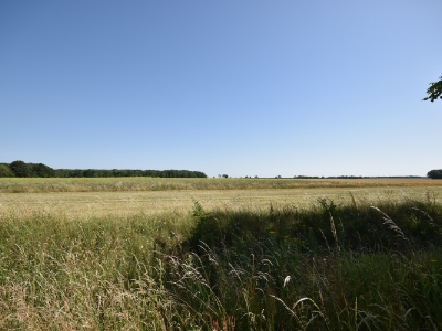 Picture 14